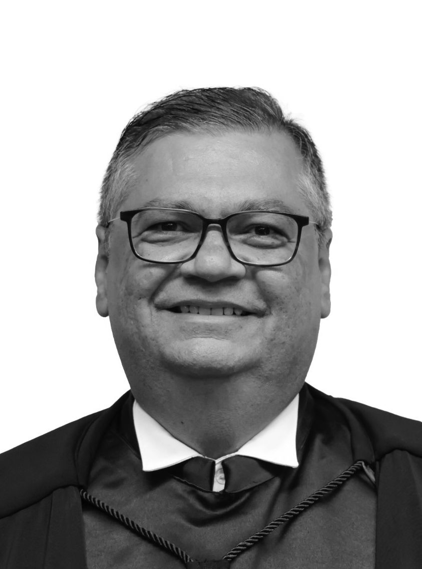 Ministro Flávio Dino